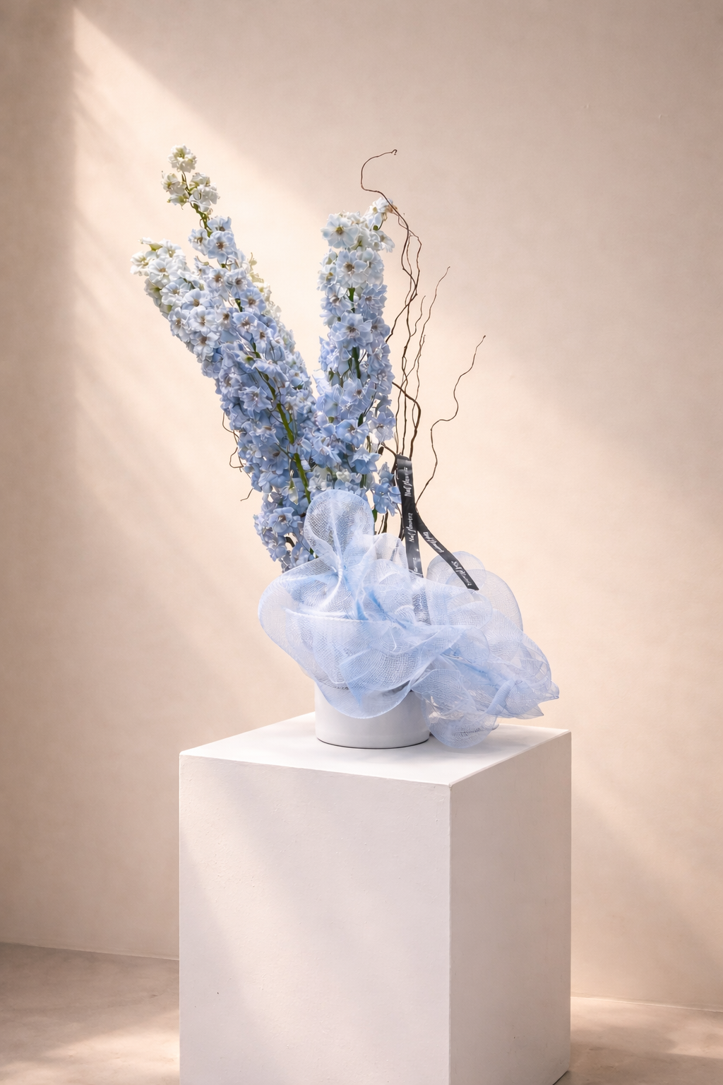 Azure Whisper