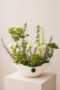 Verdant Harmony