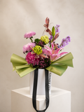 Orchid Bloom Elegance