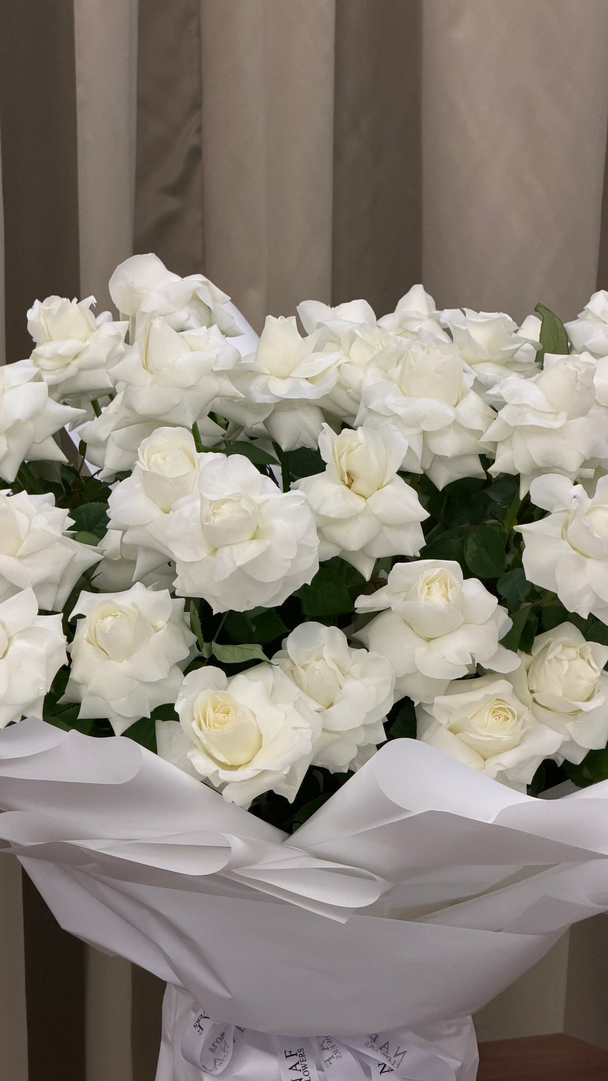 Bridal Veil Elegance
